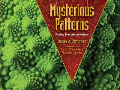 Mysterious patterns : finding fractals in nature cover image