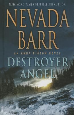 Destroyer angel cover image