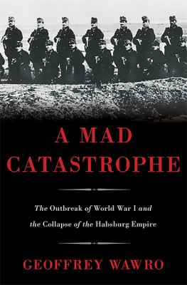 A mad catastrophe : the outbreak of World War I and the collapse of the Habsburg Empire cover image
