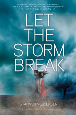 Let the storm break cover image