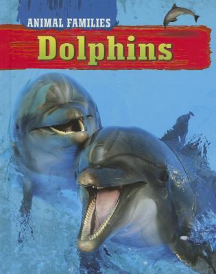 Dolphins  cover image cdn