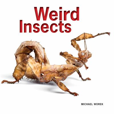 Weird insects cover image