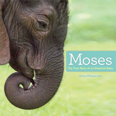 Moses : the true story of an elephant baby cover image
