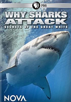 Why sharks attack cover image