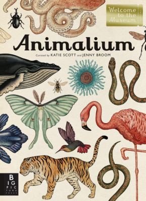Animalium cover image