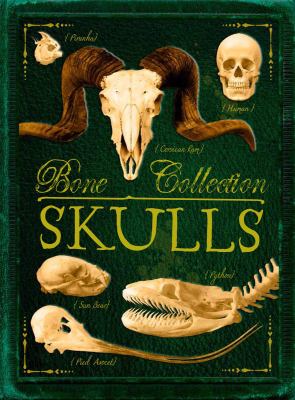 Bone collection. Skulls cover image