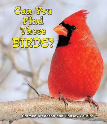Can you find these birds? cover image