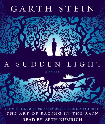 A sudden light cover image