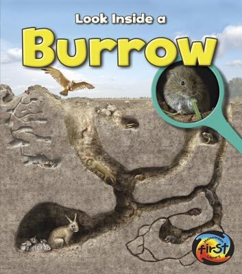 Burrow cover image