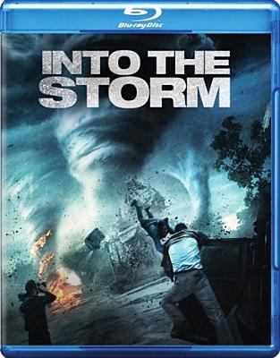Into the storm [Blu-ray + DVD combo] cover image