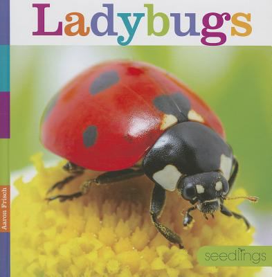 Ladybugs  cover image cdn