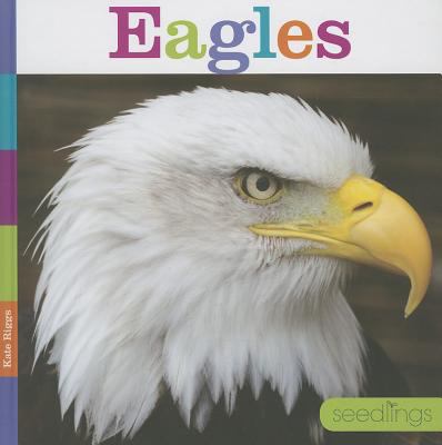 Eagles  cover image cdn