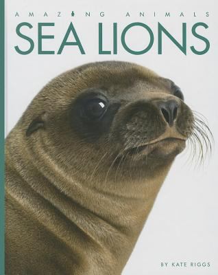 Sea lions  cover image cdn