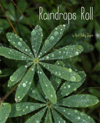 Raindrops roll cover image