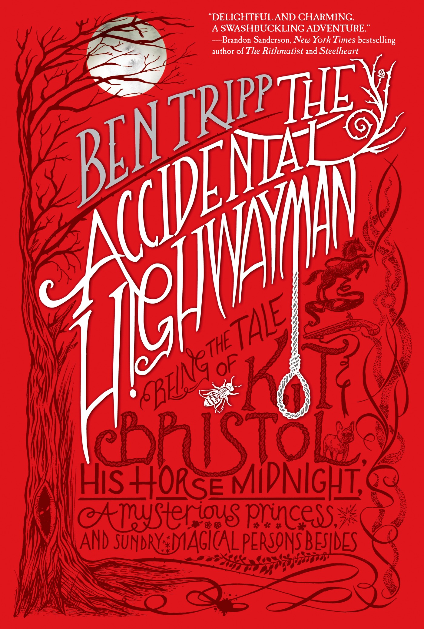 The accidental highwayman : being the tale of Kit Bristol, his horse Midnight, a mysterious princess, and sundry magical persons besides cover image
