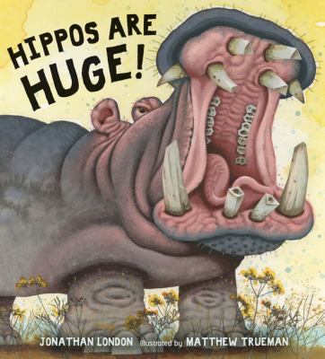 Hippos are huge! cover image