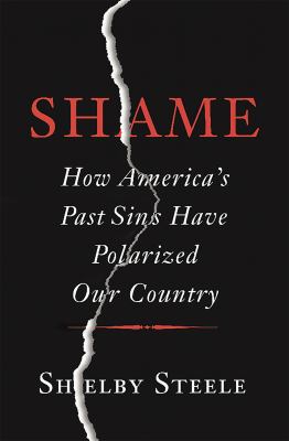 Shame : how America's past sins have polarized our country cover image