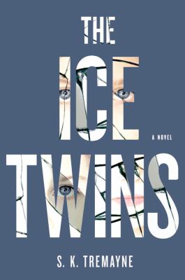 The ice twins cover image