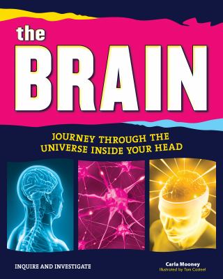 The brain : journey through the universe inside your head cover image