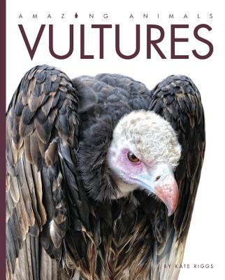 Vultures cover image