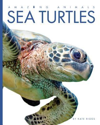 Sea turtles cover image