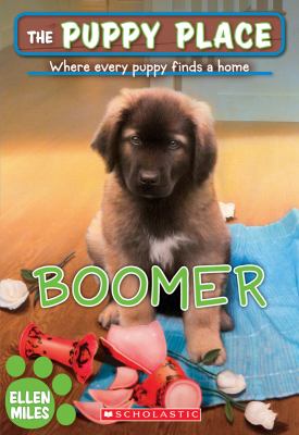 Boomer cover image
