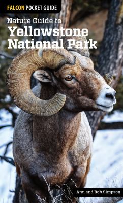 Falcon pocket guide. Nature guide to Yellowstone National Park cover image