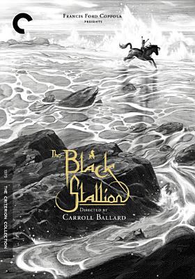The black stallion cover image