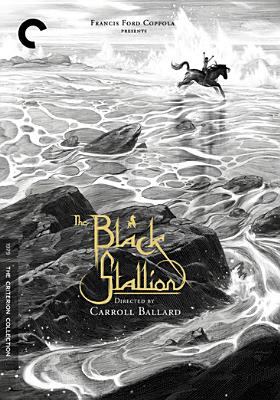 The black stallion cover image cdn