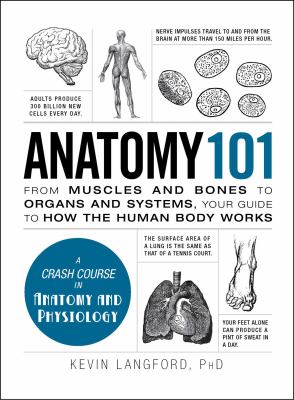 Anatomy 101 cover image