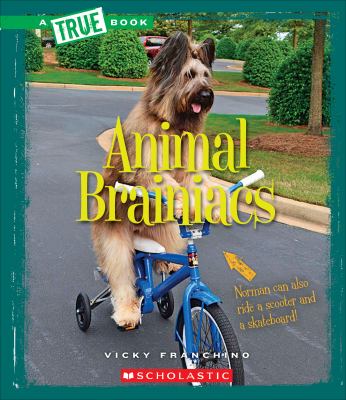 Animal brainiacs cover image