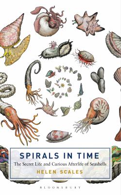 Spirals in time : the secret life and curious afterlife of seashells cover image