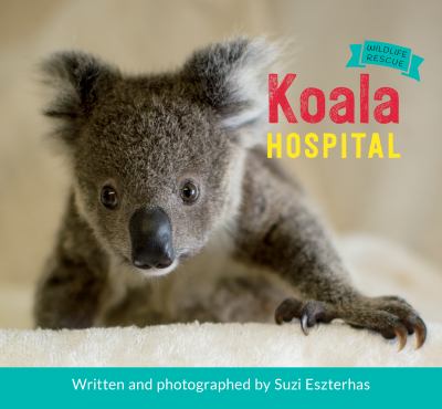 Koala hospital cover image