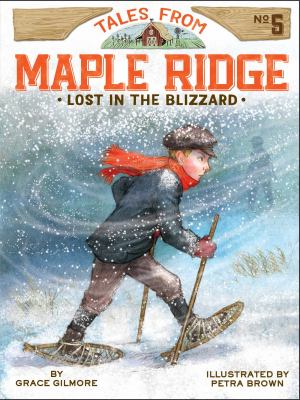 Lost in the blizzard cover image