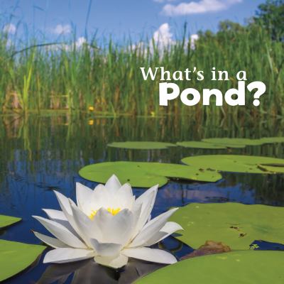 What's in a pond? cover image