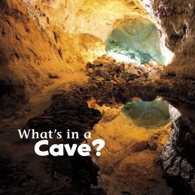 What's in a cave? cover image