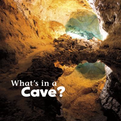 What's in a cave?  cover image cdn