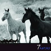 7 horses cover image cdn