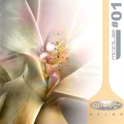 Relax: module 1 cover image cdn