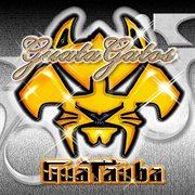 Guatagatos cover image cdn