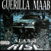 Rise cover image cdn