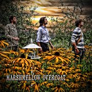 On safari cover image cdn