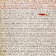 Zipper catches skin cover image cdn