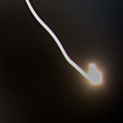 Wonderland cover image cdn