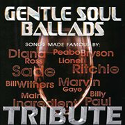 Dubble trubble tribute - gentle soul ballads cover image cdn