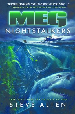 Nightstalkers cover image