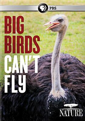 Big birds can't fly cover image