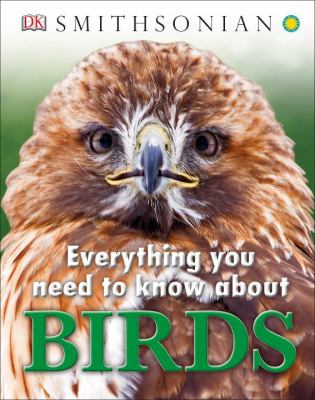 Everything you need to know about birds cover image