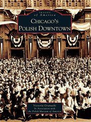 Chicago's polish downtown cover image cdn