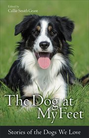 The dog at my feet stories of the dogs we love cover image cdn